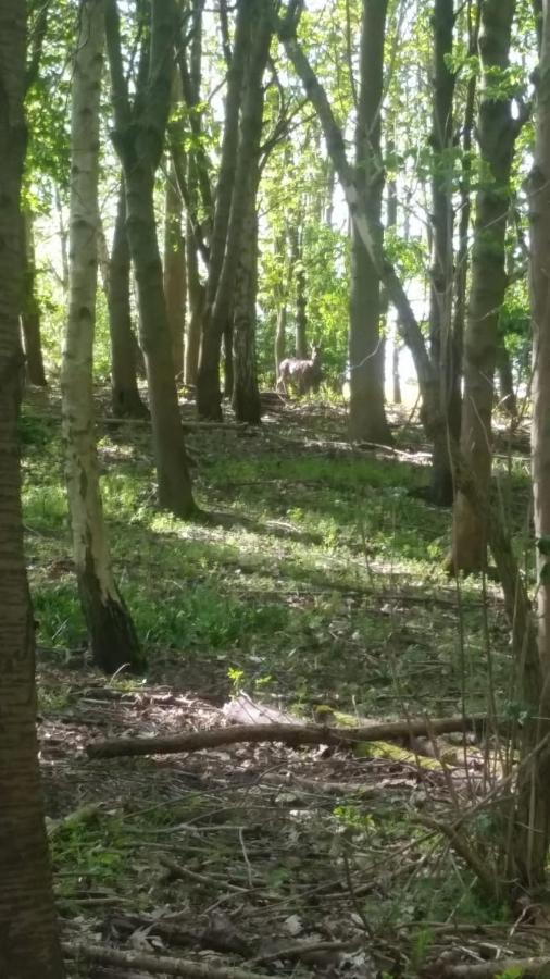 Bredon Westhurst Park Bnb المظهر الخارجي الصورة